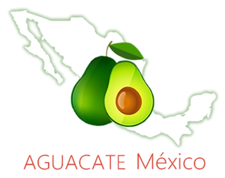 Aguacate-mexico.com